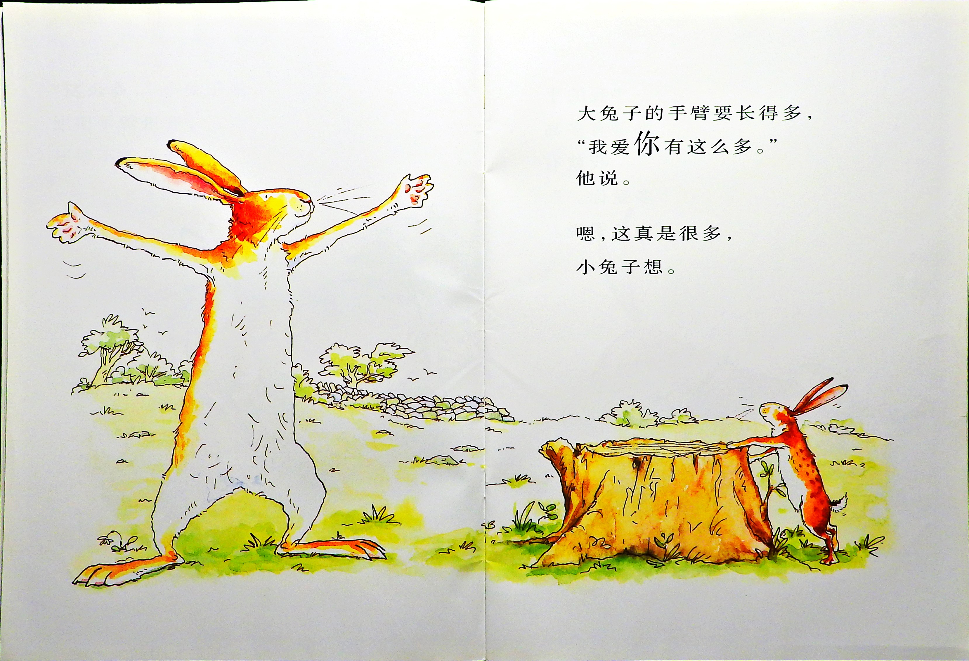 猜猜我有多爱你 (07),绘本,绘本故事,绘本阅读,故事书,童书,图画书,课外阅读